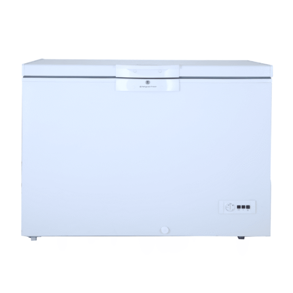 400 Inverter Single Door Freezer